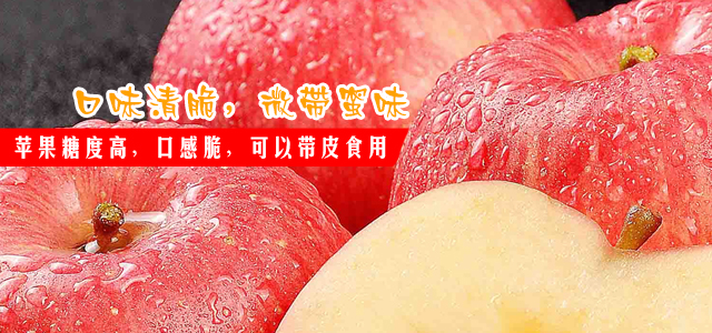 上海鸿影贸易有限公司