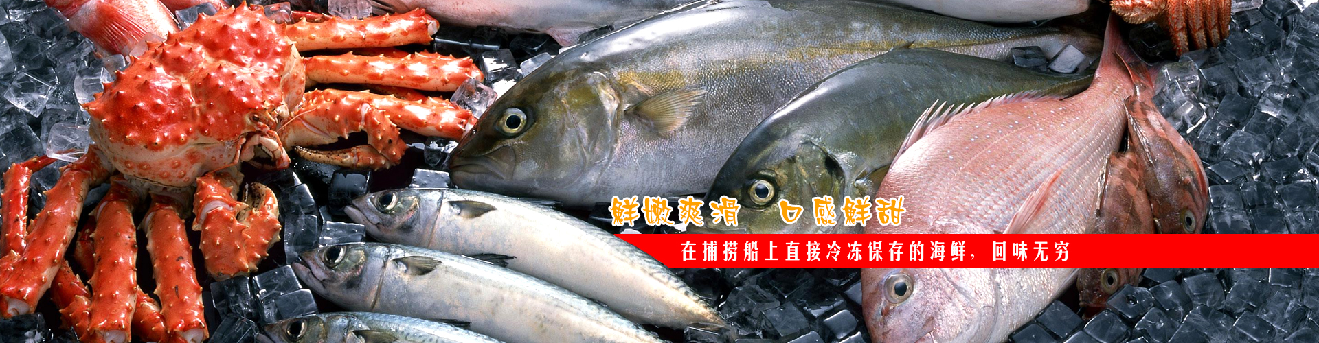 上海鸿影贸易有限公司